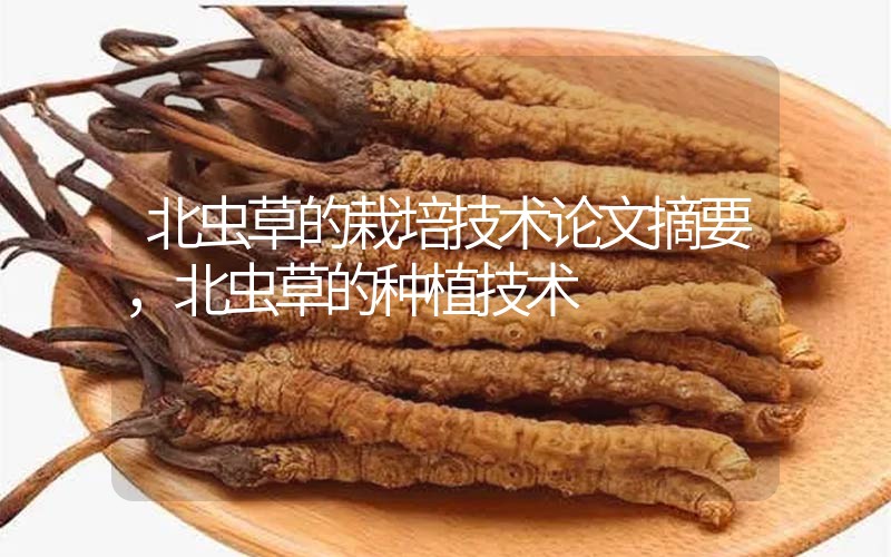 北蟲(chóng)草的栽培技術(shù)論文摘要，北蟲(chóng)草的種植技術(shù)