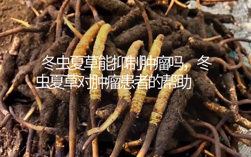冬蟲(chóng)夏草能抑制腫瘤嗎？冬蟲(chóng)夏草對(duì)腫瘤患者的幫助