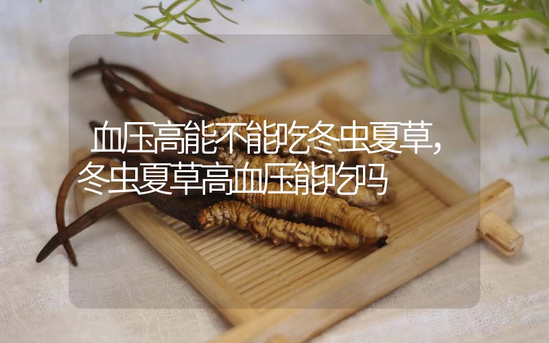 血壓高能不能吃冬蟲夏草，冬蟲夏草高血壓能吃嗎？