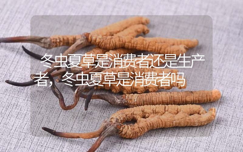 貧血吃冬蟲夏草有效果嗎，貧血虛弱者可以用冬蟲夏草嗎？