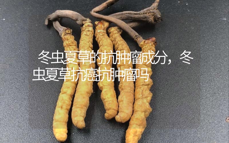 冬蟲夏草的抗腫瘤成分，冬蟲夏草抗癌抗腫瘤嗎？