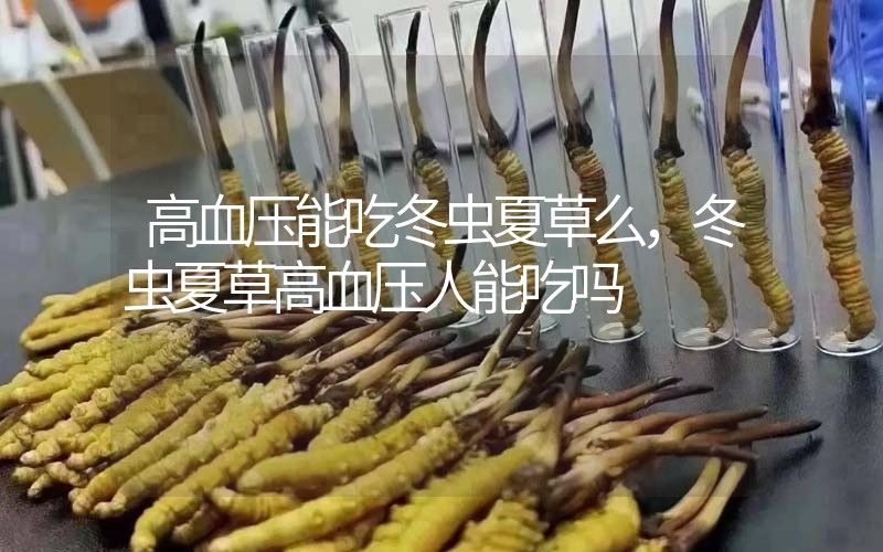 高血壓能吃冬蟲夏草么，冬蟲夏草高血壓人能吃嗎