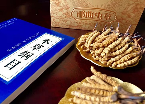 冬蟲夏草真就那么好嗎？它的主要功能是什么呀