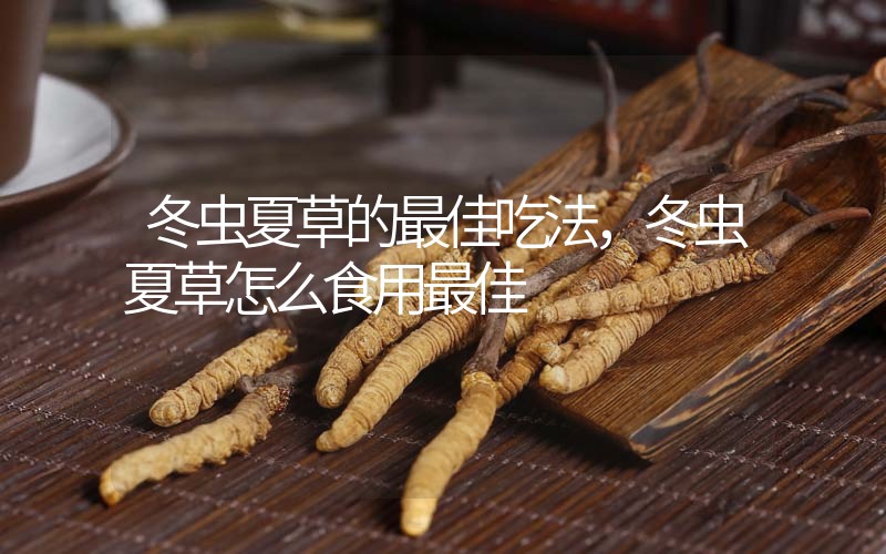 冬蟲(chóng)夏草的最佳吃法，冬蟲(chóng)夏草怎么食用最佳