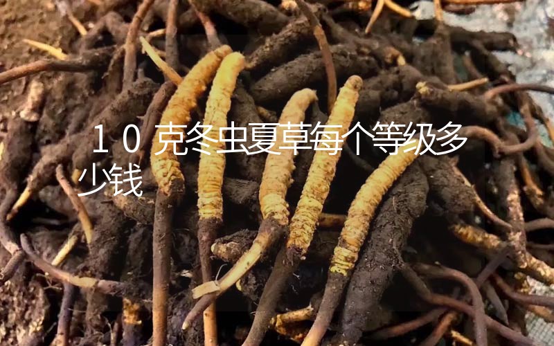 10克冬蟲夏草每個(gè)等級(jí)多少錢？