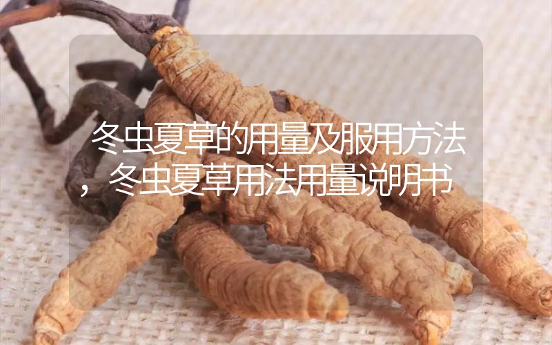 冬蟲夏草的用量及服用方法，冬蟲夏草用法用量
