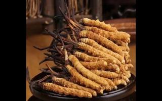 為什么藏民手里的蟲草比網(wǎng)上貴？