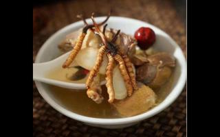 冬蟲(chóng)夏草可以和蘑菇一起吃嗎？