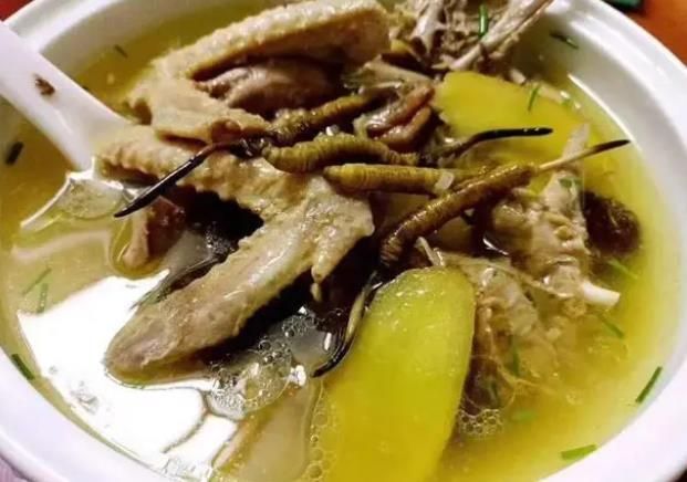 冬蟲夏草和哪些食材可以一起煲湯？