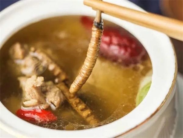 冬蟲夏草能吃嗎？冬蟲夏草可以怎么吃