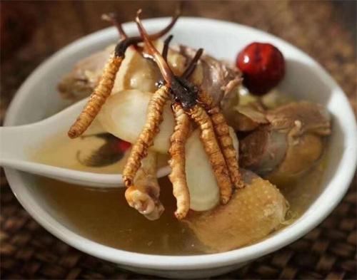 冬蟲夏草可以燉海鯽魚嗎？