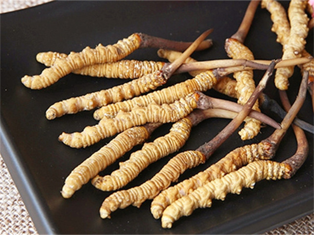 真的冬蟲夏草什么價(jià)格？影響冬蟲夏草價(jià)格波動(dòng)的3個(gè)關(guān)鍵因素