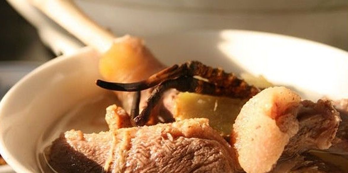 冬蟲(chóng)夏草怎么吃？多種食用方法全解析