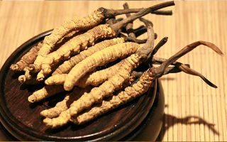 未來冬蟲夏草會漲價嗎？