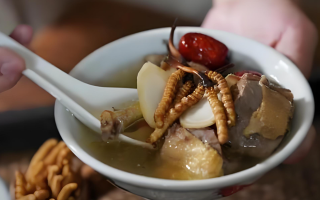 冬蟲(chóng)夏草搭配有道，滋養(yǎng)肺部效果妙