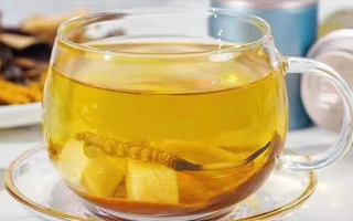 新鮮冬蟲夏草能泡茶嗎？一文讀懂養(yǎng)生新方式