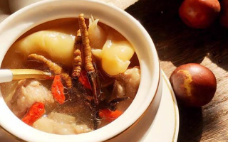 冬蟲夏草與什么泡水喝？養(yǎng)生搭配指南