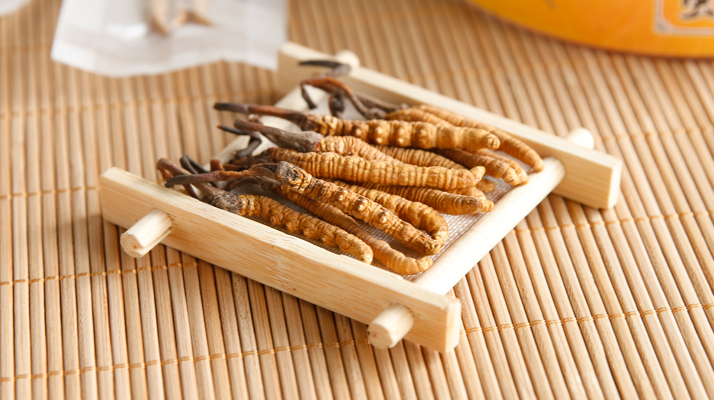 冬蟲夏草一般多少錢一斤？價(jià)格背后的價(jià)值解析
