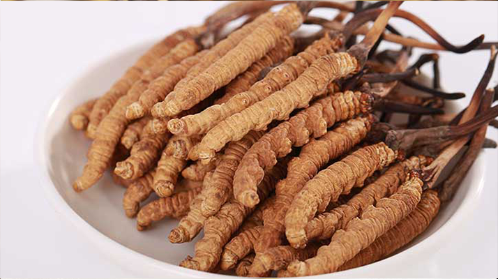 認(rèn)清假冬蟲(chóng)夏草：常見(jiàn)類型、鑒別方法與避坑指南