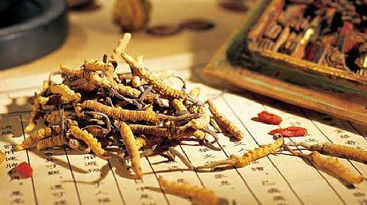 老人可以喝冬蟲夏草湯嗎？科學(xué)分析與飲用指南