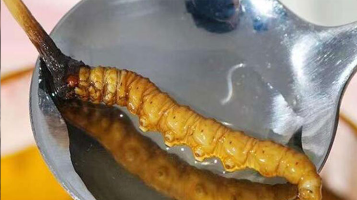 水煮鮮冬蟲(chóng)夏草:保留營(yíng)養(yǎng)的最佳做法