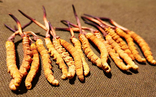 抖音上的冬蟲夏草能買嗎？謹慎抉擇，理性消費