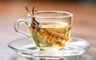 一斤白酒泡多少冬蟲夏草合適？科學(xué)配比與泡制指南