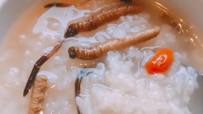 冬蟲夏草適合哪些人群？精準(zhǔn)匹配與禁忌提醒