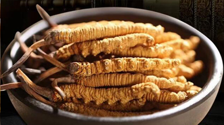 冬蟲夏草效果好不好用?科學與實踐視角下的全面解析