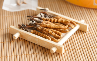 冬蟲夏草怎么燉比較好？解鎖營養(yǎng)不流失的燉煮指南