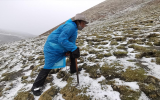 西藏挖冬蟲夏草在什么時(shí)候？產(chǎn)區(qū)與時(shí)間全攻略