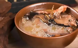 冬蟲夏草治什么病效果好？厘清輔助調(diào)理邊界與適用場景