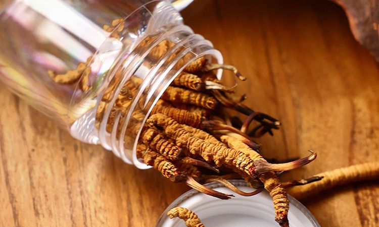 <a href=http://www.lacroixmilan.com/jiage/ target=_blank class=infotextkey>冬蟲夏草多少錢</a>一條 