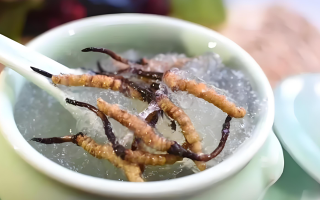 十根冬蟲夏草能泡幾斤酒？泡酒比例與細(xì)節(jié)指南