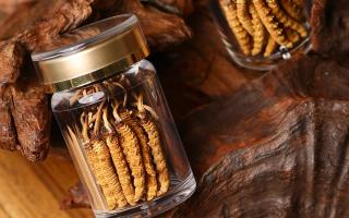 鮮冬蟲夏草泡水后怎么保存？3 種場(chǎng)景保存方法 + 避坑指南