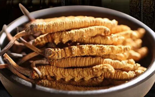 冬蟲夏草掰開后什么樣？從斷面細節(jié)識破品質與真?zhèn)?> </div>
            <div   id=