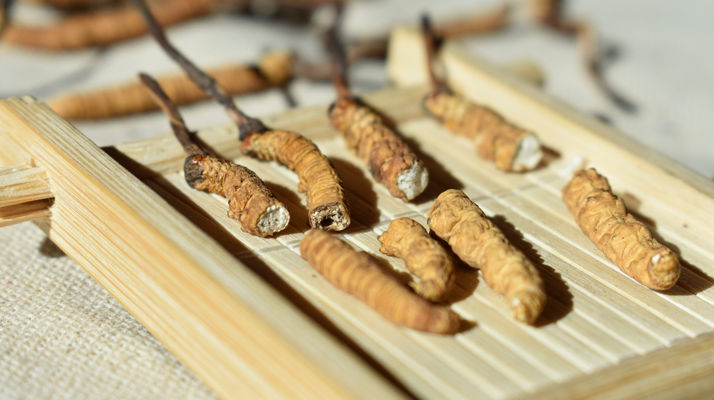 斷的<a href=http://www.lacroixmilan.com/ target=_blank class=infotextkey>冬蟲夏草</a>一克啥價 