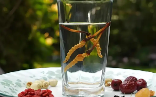 人參配蟲草泡酒，泡多久才好喝？咱跟你說實(shí)在的